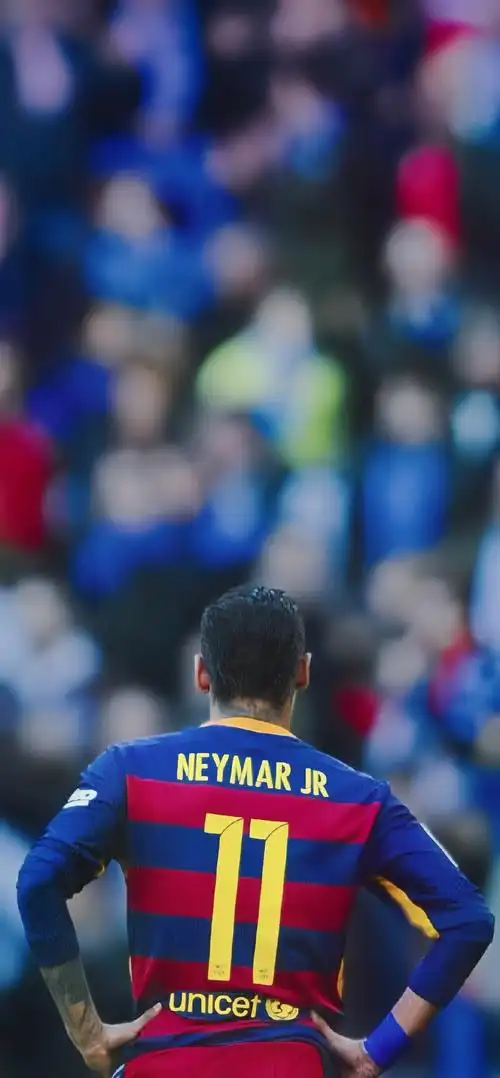 特点调整战 特点调整战