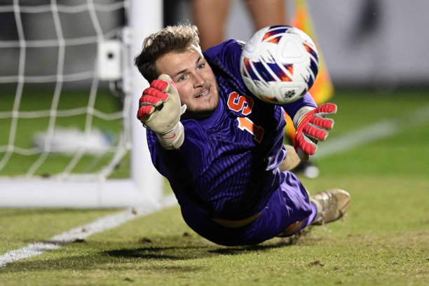 值此31周 值此31周