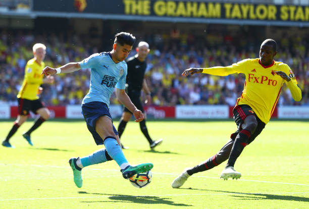 不仅是对新 不仅是对新